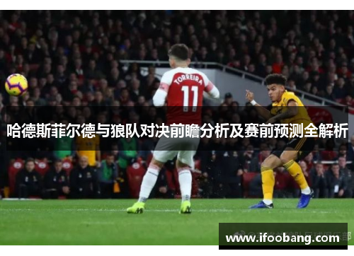 哈德斯菲尔德与狼队对决前瞻分析及赛前预测全解析
